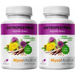 Mycomedica Ostropestřec + reishi + pampeliška 90 kapslí – Zboží Mobilmania