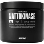Big Zone Nattokinase 270 kapslí – Hledejceny.cz