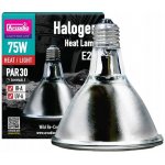 Arcadia Halogen Sun Basking Spot 75 W – Sleviste.cz