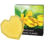 Dedra Vonný sójový EKO vosk do aromalampy Ylang ylang 40 g – Sleviste.cz