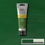 Winsor & Newton Akrylová barva 120 ml Sap Green – Zboží Mobilmania
