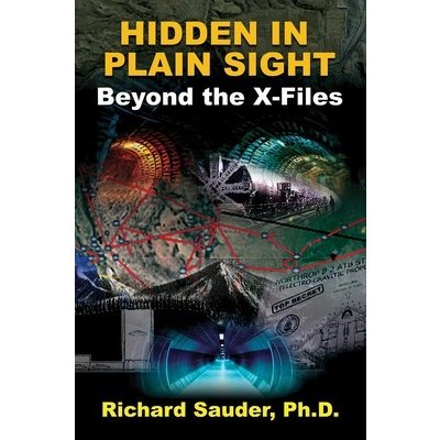 Hidden in Plain Sight: Beyond the X-Files Sauder Phd RichardPaperback