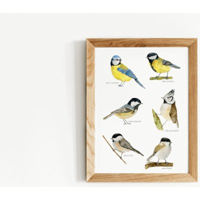 ePipí Plakát - Sýkorky Rozměr: A4 – Zboží Dáma