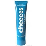 Herbai CHEEEES Fresh mint 60 g – Hledejceny.cz