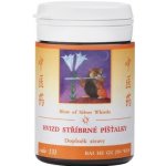 TCM Herbs Hvizd stříbrné píšťalky 100 tablet – Hledejceny.cz