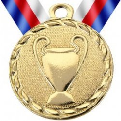 Medaile MD8 zlato s trikolórou
