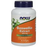 Now Foods Boswellia Extract 500 mg 90 softgel kapslí – Hledejceny.cz