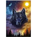 Norimpex Diamantové malování Temný vlk 30 x 40 cm – Zboží Mobilmania