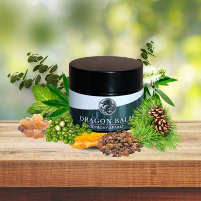 Dragon balm péče o pohybový aparát 2 x 50ml – Zboží Dáma
