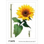 Ag Design AGF00476 samolepící dekorace Sunflower F 0476 Slunečnice rozměry 65 x 85 cm – Zboží Dáma