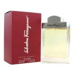 Salvatore Ferragamo Pour Homme toaletní voda pánská 100 ml – Zboží Mobilmania