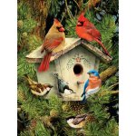 Royal Langnickel Malování podle čísel 22x30 cm - Ptáčci u budky – Sleviste.cz