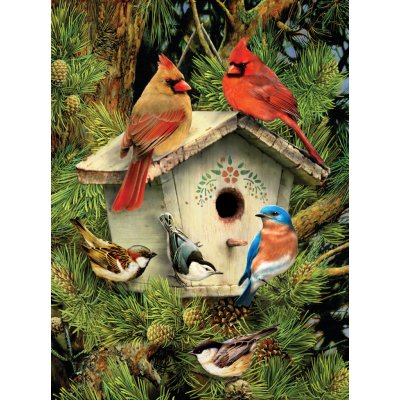 Royal Langnickel Malování podle čísel 22x30 cm - Ptáčci u budky – Sleviste.cz