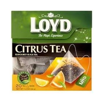 Loyd Pyramid Citrusové plody 20 sáčků