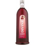 Boris Jelzin Kirsch 16,6% 1 l (holá láhev) – Hledejceny.cz