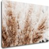 Obraz Impresi Obraz Suchá tráva skandinávský styl - 90 x 60 cm