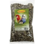 Avicentra Slunečnice žíhaná 1 kg – Zboží Dáma