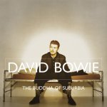 David Bowie - Buddha Of Suburbia Remastered LP – Hledejceny.cz
