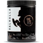 One Life Valhalla 400 g – Hledejceny.cz