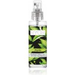 Ryor Osvěžující mlha s vůní zeleného čaje Matcha 100 ml – Hledejceny.cz