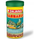 Dajana gammarus 250 ml