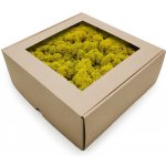 mech-mech.cz Sobí mech Finský čištěný premium - žlutý - 50g – Zboží Dáma