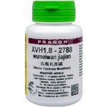 XVH1.8 - wumeiwan jiajian 36 tablet Pragon – Hledejceny.cz