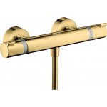 Hansgrohe 13116990 – Hledejceny.cz