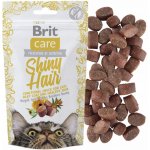 Brit Care Cat Snack Shiny Hair losos 50 g – Zboží Mobilmania