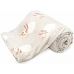 Arome Home Deka mikroflanel 220 GSM 150x200 – Zboží Dáma