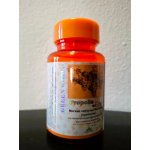Green world Fen Czjao propolis 60 kapslí – Hledejceny.cz