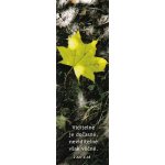 B018 - Záložka do knihy - list – Hledejceny.cz