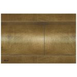 Alcadrain FUN-ANTIC – Hledejceny.cz