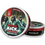 Aroma King NoNic sáčky Mentol Ice 20 mg 25 sáčků – Zboží Dáma Aroma King NoNic sáčky Mentol Ice 20 mg 25 sáčků – Zboží Dáma