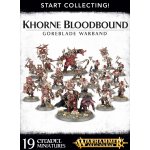 GW Warhammer Age of Sigmar Start Collecting! Goreblade Warband – Hledejceny.cz