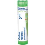 CARDUUS MARIANUS POR 5CH GRA 1X4G – Hledejceny.cz