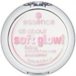 Essence All About Matt Fixing Compact Powder kompaktní pudr 8 g – Zboží Dáma