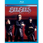 Bee Gees: In Our Own Time BD – Hledejceny.cz