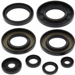 WINDEROSA (VERTEX) sada těsnění motoru YAMAHA YFM550 GRIZZLY 09-14, YFM700 GRIZZLY 07-15, RHINO 08-13, VIKING 14-18 | Zboží Auto