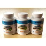 MycoMedica Agarikon 3 x 90 tobolek – Hledejceny.cz