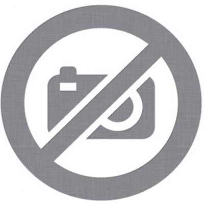 Nádherné příběhy Čtyřlístku z let 1987 až 1989 8. velká kniha) - Štíplová Ljuba, Němeček Jaroslav – Zboží Dáma