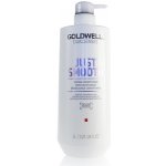 Goldwell Dualsenses Just Smooth Taming Conditioner 1000 ml – Zboží Dáma