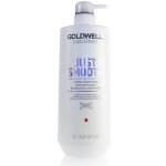 Goldwell Dualsenses Just Smooth Taming Conditioner 1000 ml – Hledejceny.cz