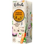 Cibule Bistro Dýňová polévka 1 l – Zboží Mobilmania