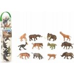 Collecta Prehistorická zvířata 12 ks – Hledejceny.cz