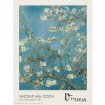 Plakát, Obraz - Almond Blossoms, Vincent van Gogh, 45 × 60 cm – Zboží Dáma