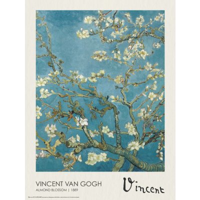Plakát, Obraz - Almond Blossoms, Vincent van Gogh, 45 × 60 cm – Zboží Dáma