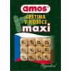 Desková hra Pygmalino AMOS Čeština v kostce Maxi