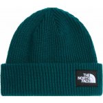 Zimní čepice The North Face Salty Lined pacific teal – Hledejceny.cz