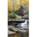 Fotozáclona AGdesign neprůhledná, přírodní vzor 140 x 245 cm – Hledejceny.cz